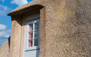 Fasag thatch roof disadvantages